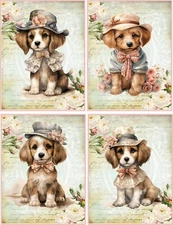 8 Puppy dog shabby chic dressed glossy blank fold out note card envelope