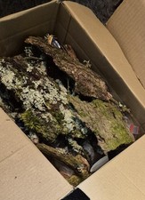 Bioactive Starter Bundle 🌿 Leaf Litter, Rot Wood, Bark & Lichen Sticks