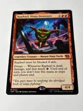 Raphael, Ninja Destroyer Teenage Mutant Ninja Turtles Regular for