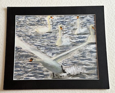 Aquarellgemälde von Mark Leary Swam Taking Flight