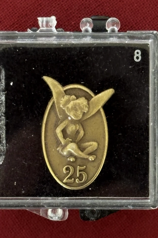 Disney Cast Member Exclusive Service Award Pin 25 Years w/ Plaque & Nametag - Image 4 of 4