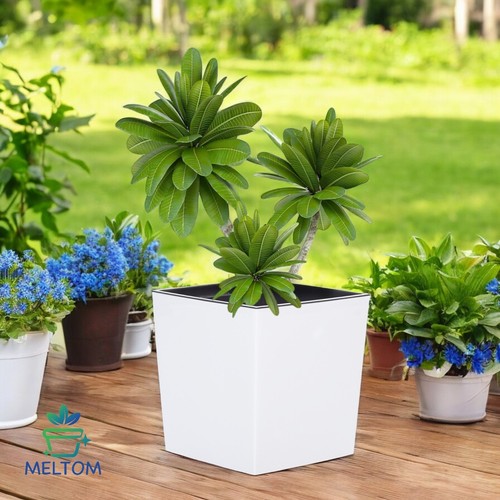Blumenkübel Eckig Hochglanz Übertopf Blumentopf Einsatz Weiß XXL (H:41cm) - Bild 8 von 8