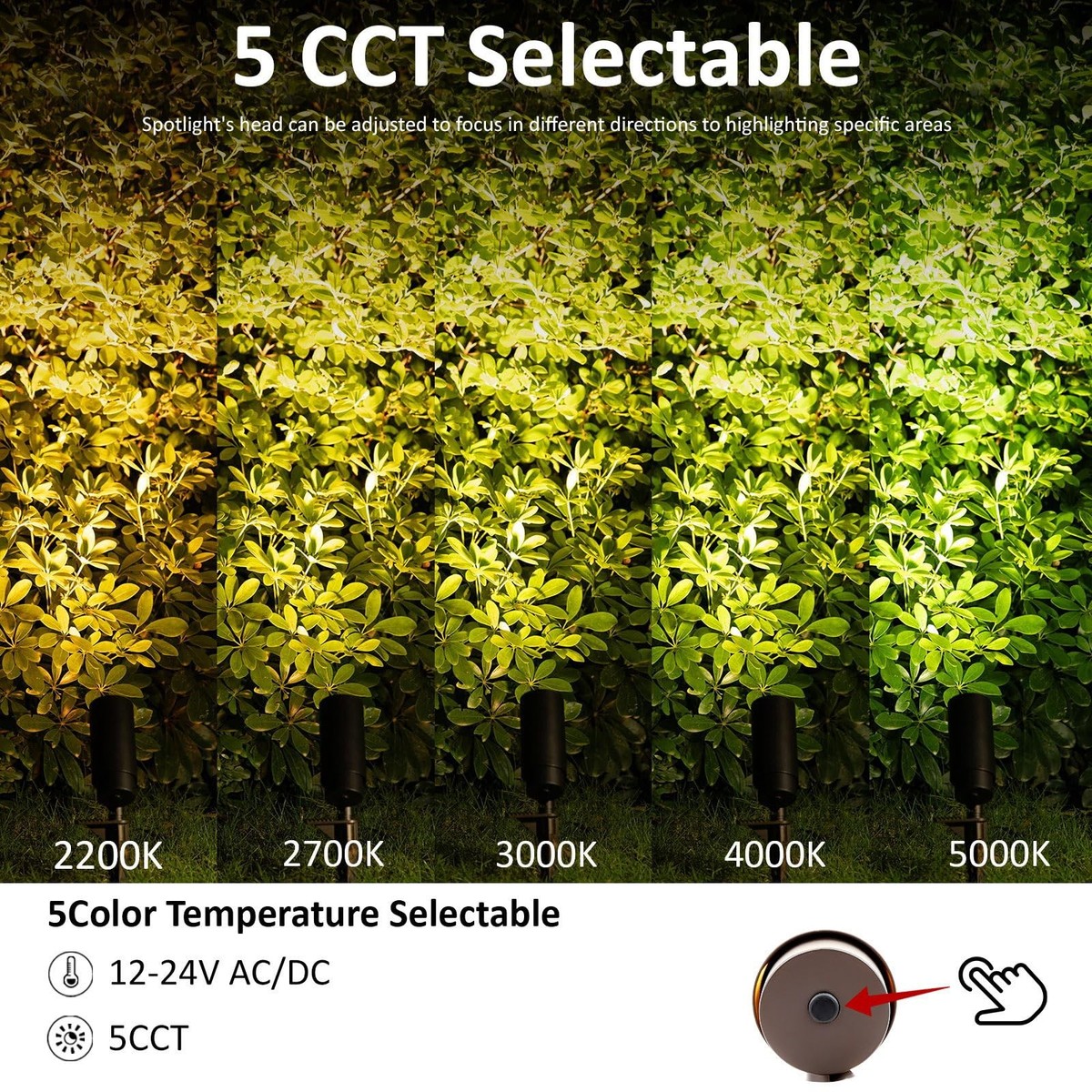 Low Voltage Landscape Lighting, 5CCT Low Voltage Landscape
