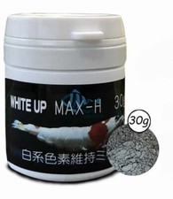 Japan Benibachi Sakura White Color Boost Crystal Cherry Shrimps Baby