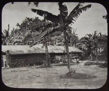 Glas Magische Laterne Dia KONDE VIEHHAUS SEE NYASA UM 1890 FOTO TANSANIA