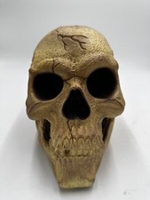 Vintage Easter Unlimited Foam Skull Head Halloween Decoration Skull Horror 