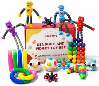 Sensory and Fidget Toy Set for Kids - 20-Piece Colorful Fidget & Sensory Toys