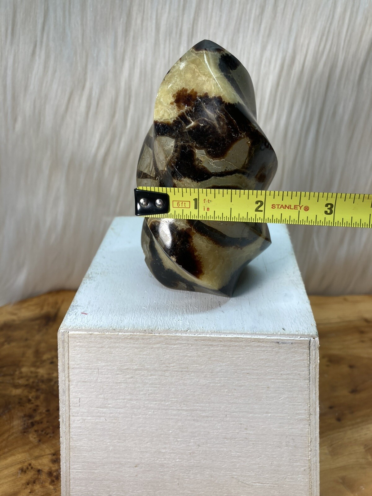 Foto 22 di 22