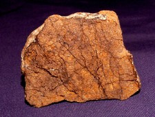 Stein-Meteorit Al Haggounia 001, Endstück, poliert, Heilstein, 46x35x23mm 53,0g