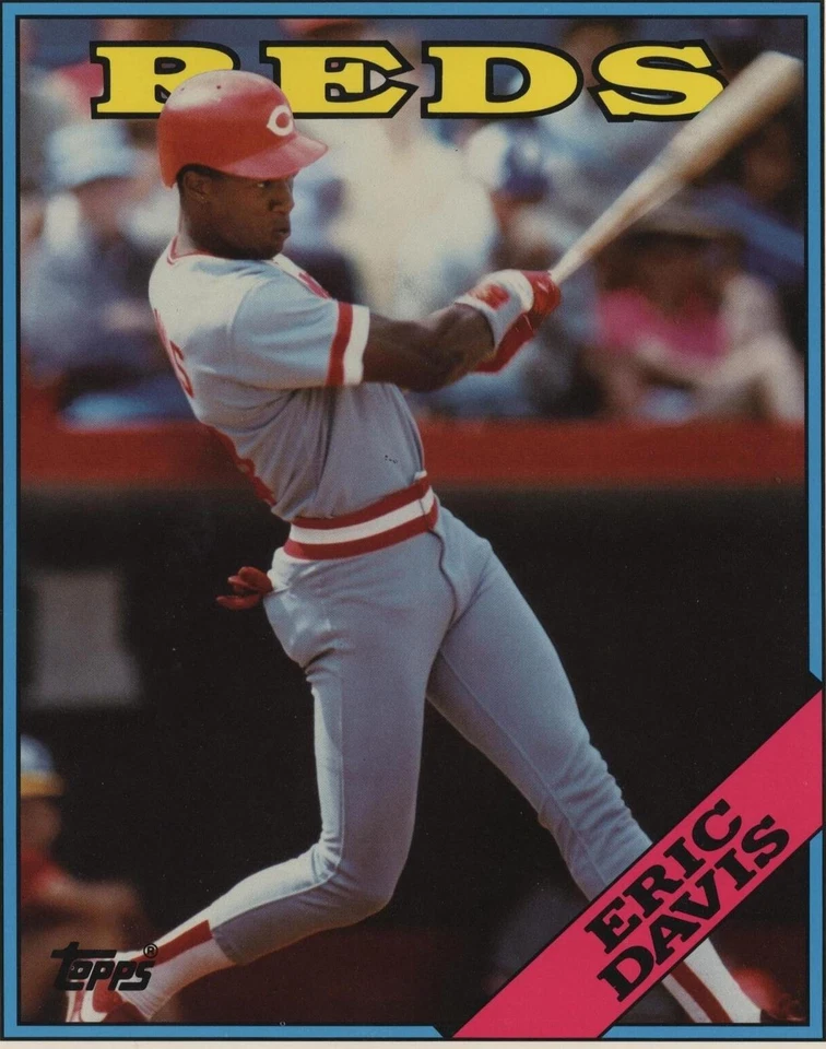 Duo-Tang School Folders