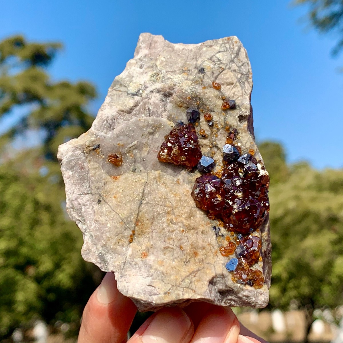 279G Natural Garnet And Sphalerite Symbiotic Mineral Specimen
