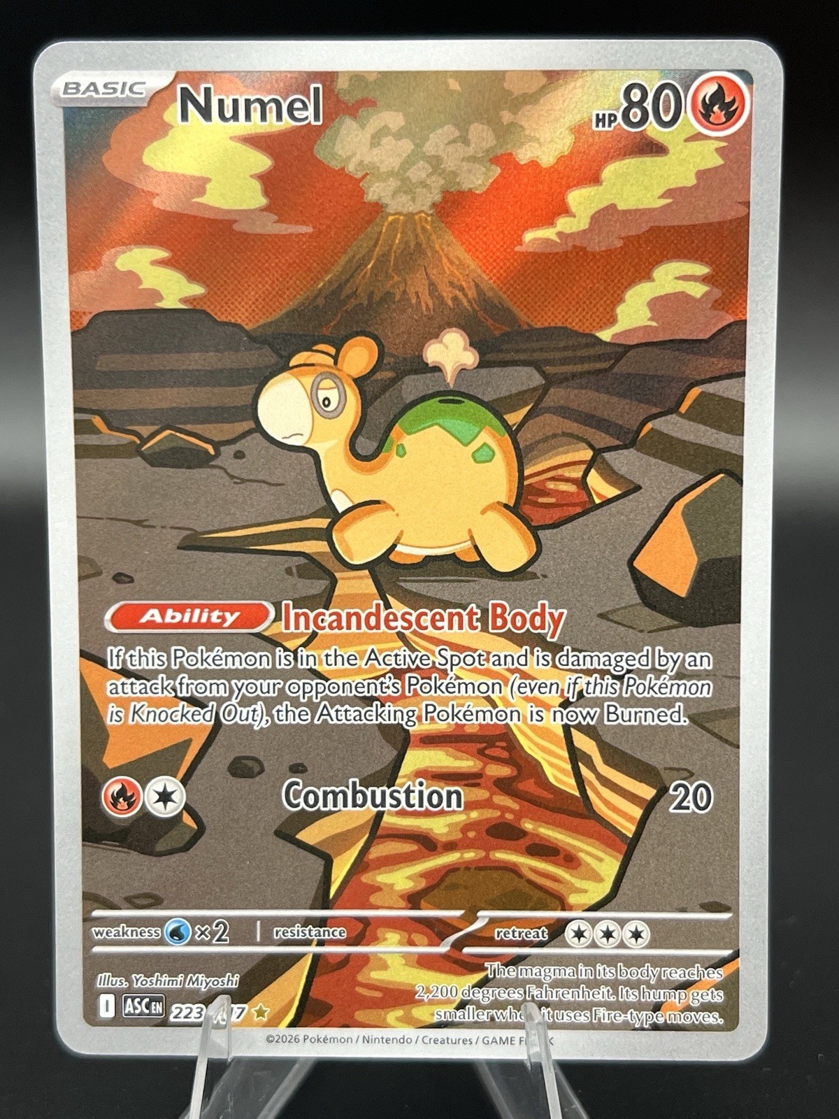 Pokemon Numel 223/217 ME: Ascended Heroes Illustration Rare NM EN