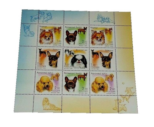 Dog,Puppy,Loyal Dogs of Korea,Korean Local Dog,Korea 2021 Full