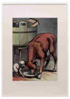 Freche Welpen 1870 Großer Hund kleiner Hund A3 A4 gerahmter Druck Bild
