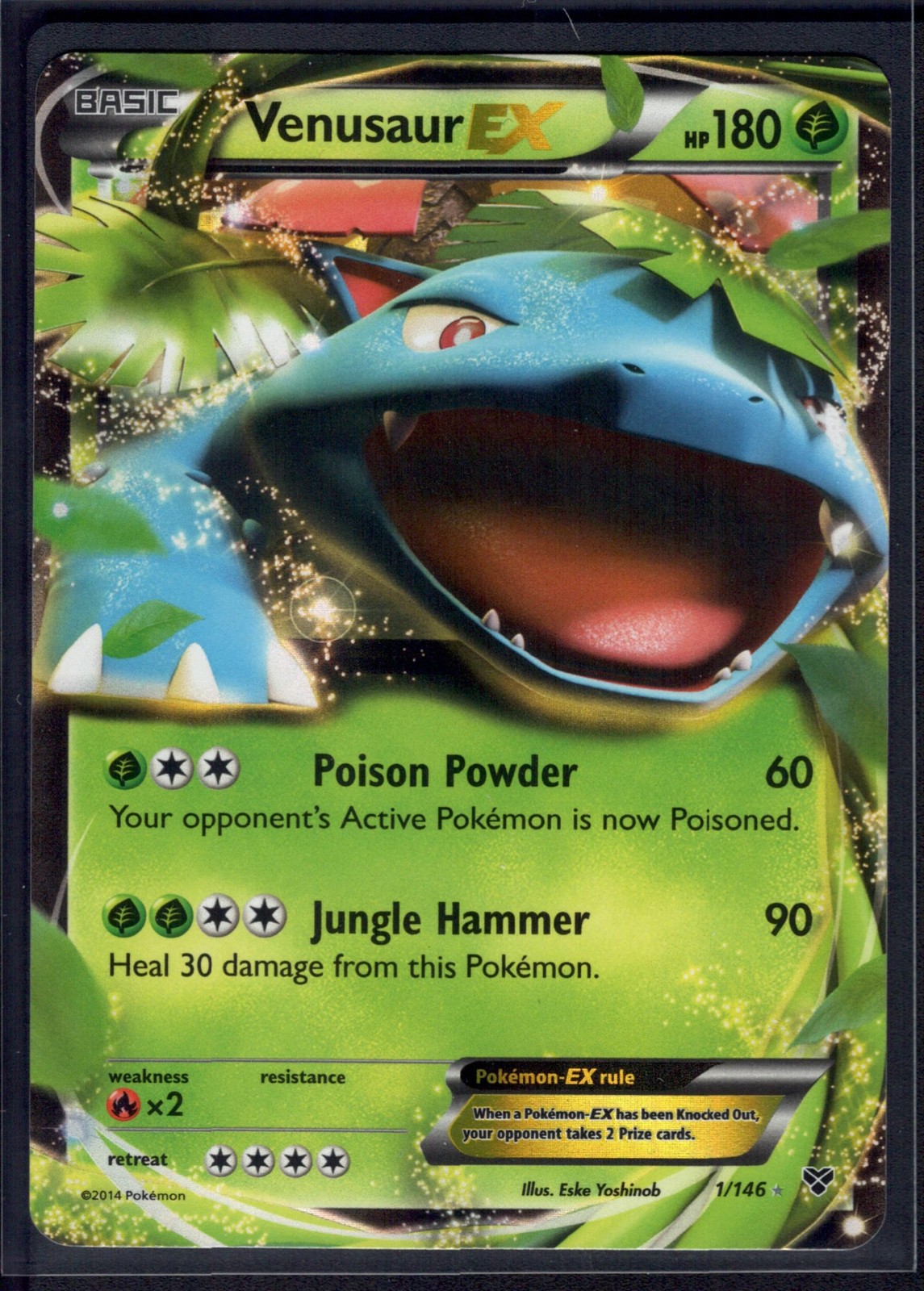 Venusaur EX 1/146 Holo Rare EX XY Pokemon Near Mint