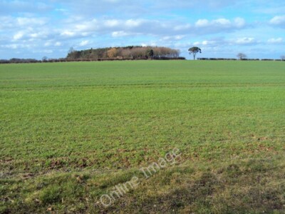 Photo 6x4 Unmapped Spinney near Thorpe Constantine No Man's Heath From th c2010