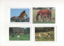 4 Horse Theme Pocket Calendars 2001, 2005, 2007, 2008