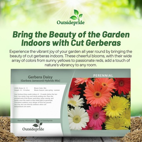 Outsidepride Hybrids Mix Gerbera Seeds - 100 Pcs Perennial, Compact & Low Mai... - Picture 6 of 9