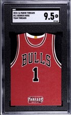2014-15 Panini Threads #24 Derrick Rose Team Threads Die Cuts SGC 9.5 🔥🔥🤤