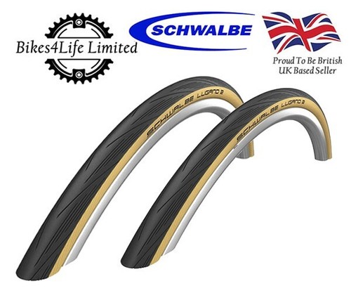 schwalbe lugano 25c