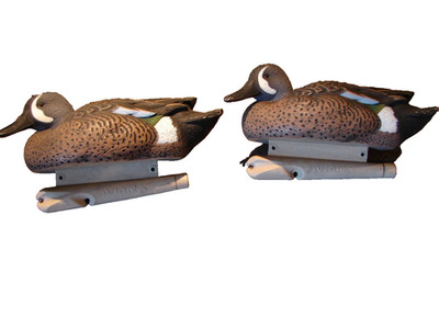 (2) Avian X Topflight Blue Winged Teal Drake LHD Duck Decoys 2013 Nice Pair !!!