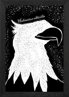 Adler gerahmtes Wandbild Poster Leinwanddruck Bild