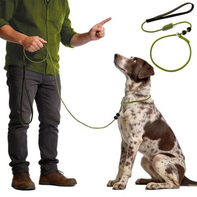 BeauGo Dog Leash Slip Lead Dog Training Rope No Pull Collar for Small Medium Lar