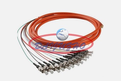 1.5 Meter 12 Fibers ST UPC OM1 62.5/125 Multi Mode Bundles Optical Fiber Pigtail