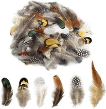 180Pcs 6 Style Natural Feathers Assorted Mixed Feathers for Dream Catcher Crafts