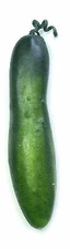 Artificial Pickle, Bag of 48 Fake Green Pickle/Pickling Cucumber Small Cucumber