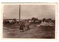 38024 Foto Fl&uuml;chtlinge aus Woronesch Russland 2. Weltkrieg