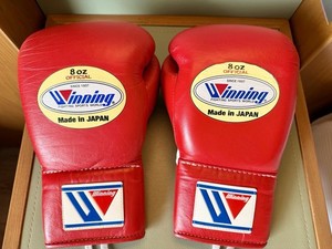 Winning Gloves Japan | eBay