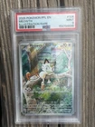 2025 Pokemon Meowth 106/094 Phantasmal Flames Illustration Rare PSA 9 MINT