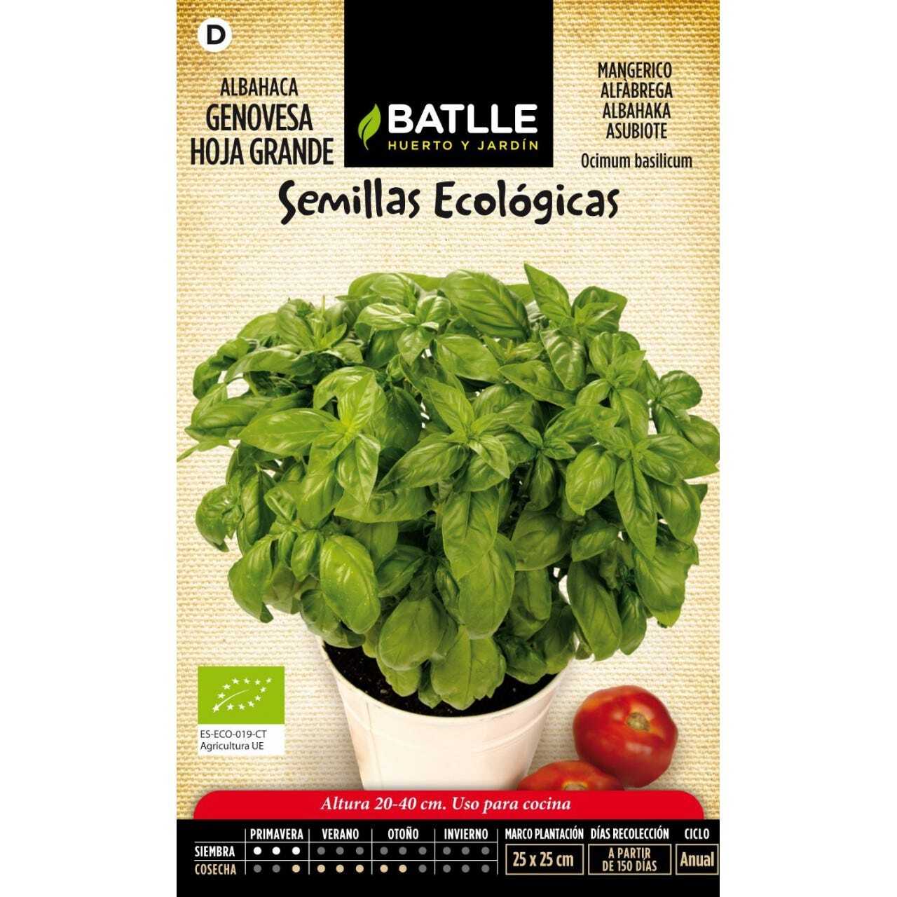 Semillas Ecológicas de Batlle - Albahaca Genovesa Hoja Grande (1,5g)