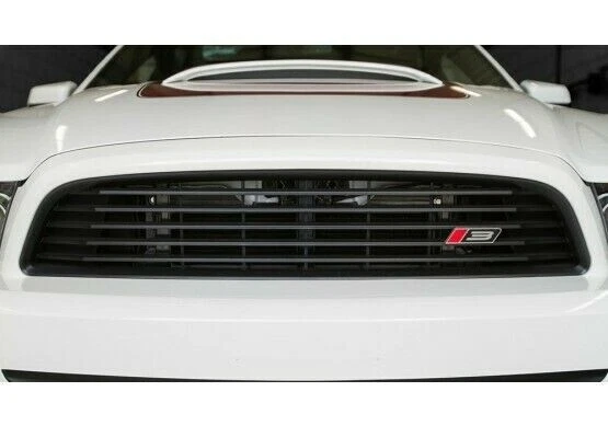 Roush 421392 前格栅套件适用于 2013 - 2014 年福特野马 — 第 3/4 张图片