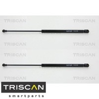 2X Gasfeder FüR Koffer-/Laderaum Triscan 871029221 DäMpfer GasdäMpfer