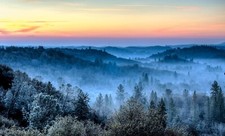 Landscape photography nature morning mist winter forest Custom Gaming Mat Desk