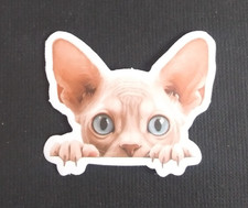 Cute Playful Kitty Cat Sticker 1.5" x 1.75" AV