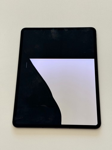 Apple iPad Pro 13in 256GB A2926 Space Gray Unlocked Damaged Screen