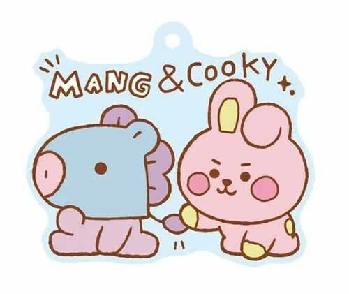 Bts Mang Cooky Bt21 Rubber Key Chain Ebay
