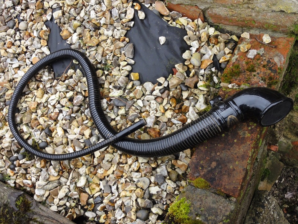 Boa Constrictor Bulb Horn eBay