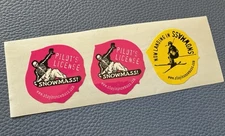 Lot 3 skiing Snowmass Colorado Small Glossy Sticker Winter Sports Ski Aspen