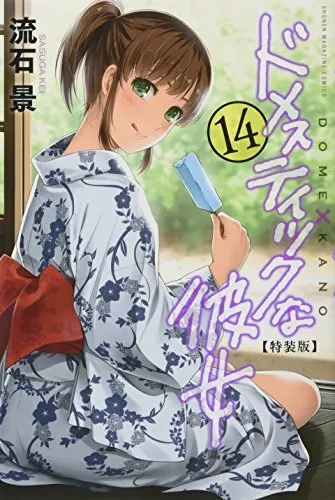 Domestique Na Kanojo Volume 14 Limitée Edit Japon Manga Livre Japonais