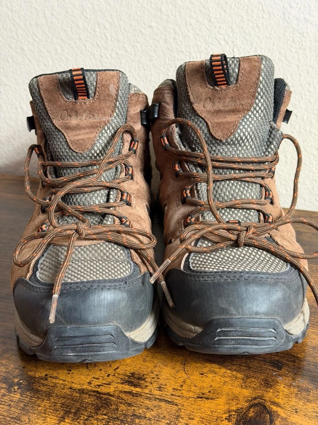 Cabela's Men's 360 Mid GORE-TEX SURROUND Hiking Boots