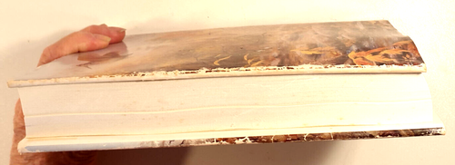 Eastern Upland Shooting by Dr Charles C Norris (1989 ) - Picture 12 of 12
