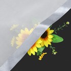 Bild 73 von 82