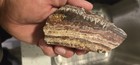 Banded/lace calcite 5 lbs of various rough rock for display or jewelery making. — photo 4