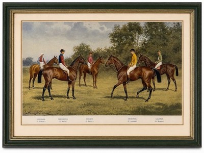 Vintage Harrington Bird Equestrian Horse Racing Print Framed English Sporting