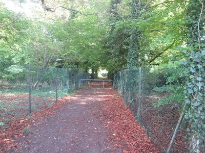 Photo 12x8 Chess Valley Walk Rickmansworth  c2017