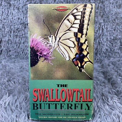 Swallowtail Butterfly CD-ROM スワロウテイル Swallowtail Butterfly CD-ROM スワロウテイル Swallowtail Butterfly